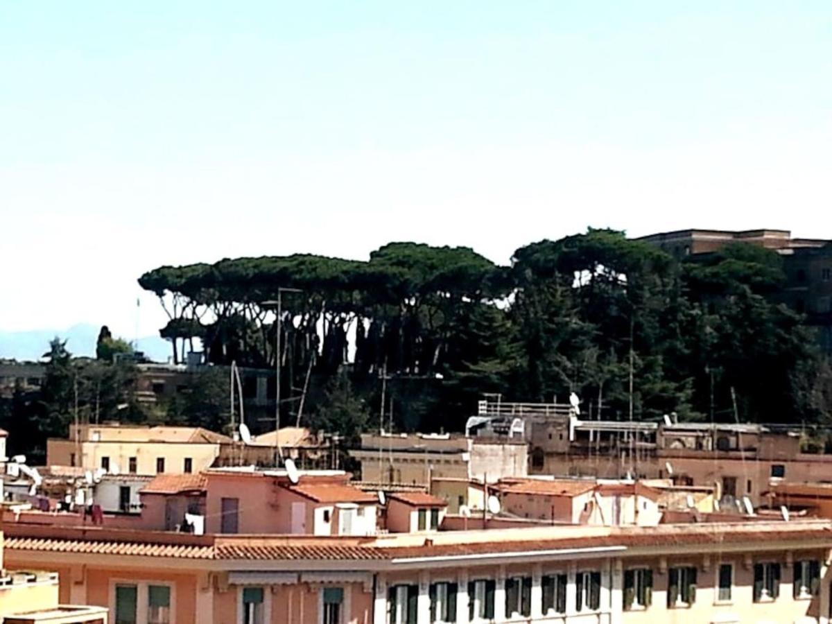Lägenhet Priscilla & Parking At St Peter Basilica +free Calls To Usa, Canada, China *